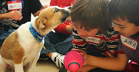 Birthday parties at WHS! 